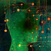 seldom-studied neurons may be essential for most brain functions